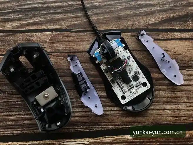 深度揭秘云开全站最新版本：安全背后的真相，老用户为你详细拆解